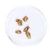 Image 1 : Lot of Gold Nuggets 2.90 grams Total Weight