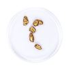Image 2 : Lot of Gold Nuggets 2.90 grams Total Weight