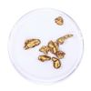 Image 1 : Lot of Gold Nuggets 3.93 grams Total Weight