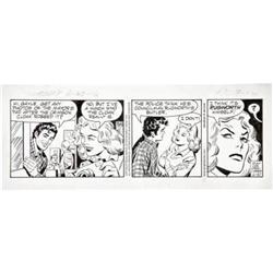 Larry Lieber - The Amazing Spider-Man Daily