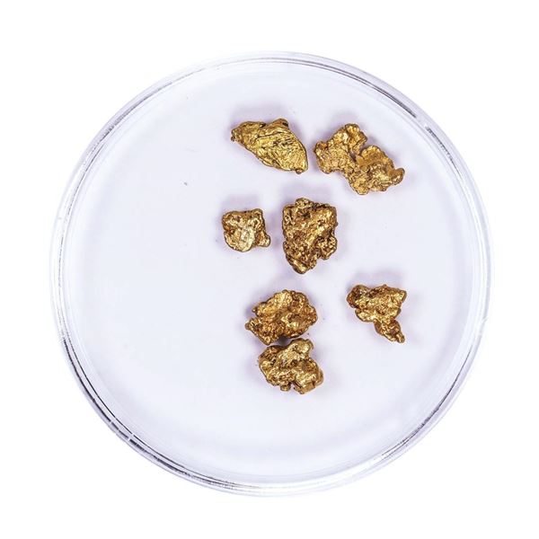 Lot of Gold Nuggets 2.56 grams Total Weight