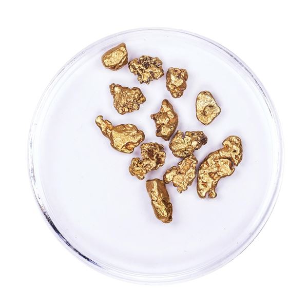 Lot of Gold Nuggets 5.48 grams Total Weight