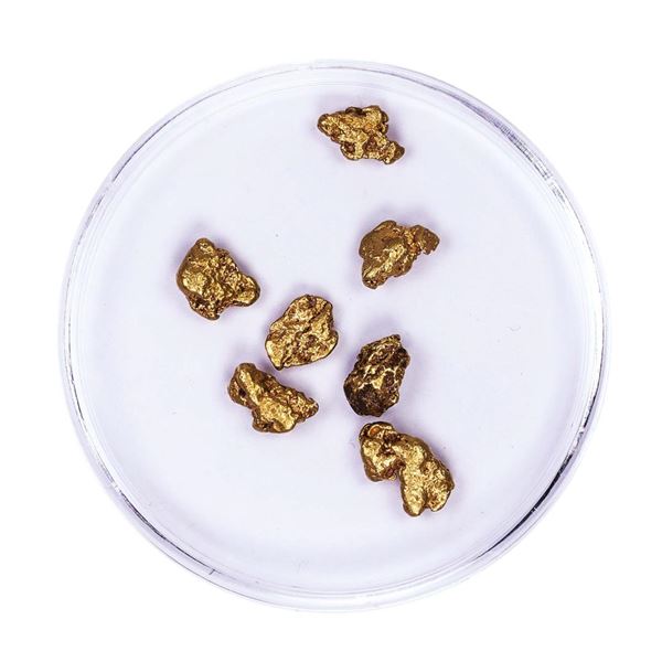 Lot of Gold Nuggets 3.16 grams Total Weight
