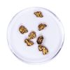 Image 1 : Lot of Gold Nuggets 3.16 grams Total Weight