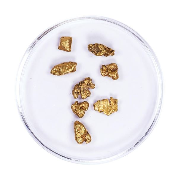 Lot of Gold Nuggets 3.57 grams Total Weight