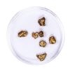 Image 1 : Lot of Gold Nuggets 2.45 grams Total Weight