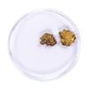 Image 2 : Lot of Gold Nuggets 1.85 Grams Total Weight