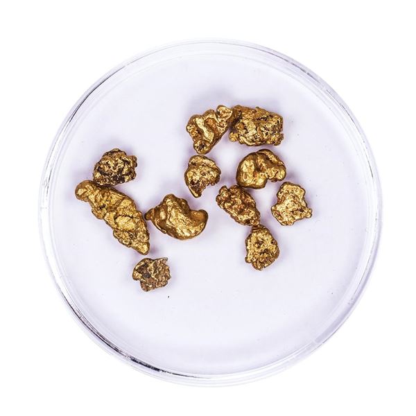 Lot of Gold Nuggets 5.28 grams Total Weight