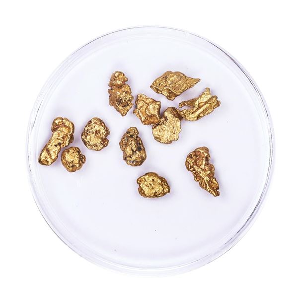 Lot of Gold Nuggets 4.22 grams Total Weight