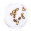 Image 2 : Lot of Gold Nuggets 5.08 grams Total Weight