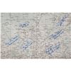 Image 2 : Apollo Astronauts (9) Multi-Signed Lunar Chart
