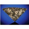 Image 1 : NWA 11329 Asteroid Vesta Partial Meteorite Slice