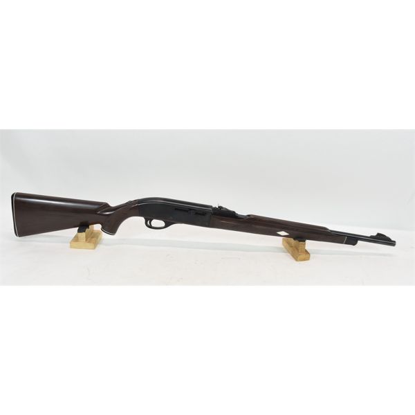 Remington Nylon 66