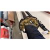 Image 8 : DECORATIVE SABER AND SAMURAI SWORD WITH SHEATHS