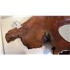 Image 2 : BURL MIRROR
