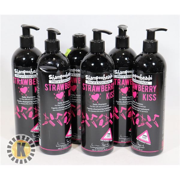 6 BOTTLES OF SHAMPOOHEADS PROFESSIONAL SHAMPOO