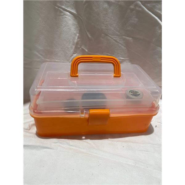 Carry storage box