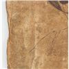 Image 8 : Italian Ink on Papyrus Signed Da Vinci