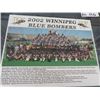 Image 2 : 2002 Framed Blue Bomber Team Photo 19" x 16"