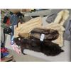Image 1 : 2 Fur Tanned Foxes & Fur Jacket Trimmers