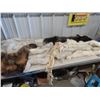 Image 2 : 2 Fur Tanned Foxes & Fur Jacket Trimmers