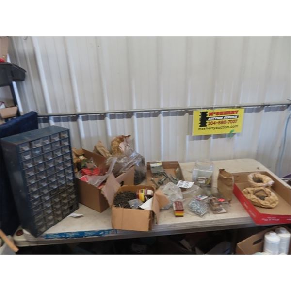 (AR) Qty of SCrews, Nails, Bolts, Organizer Full - Plus Some Sheet Metal Screws