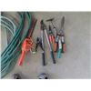Image 2 : (NY) Hose & Hose Reel Cabinet, Elec Hedger, Fertilizer Spreader & Flower Bed Tools