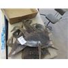 Image 2 : 10 Wooden Goose Decoys