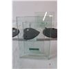 Image 3 : set of 2 glass photo frames & set of 3 rock wall hangings