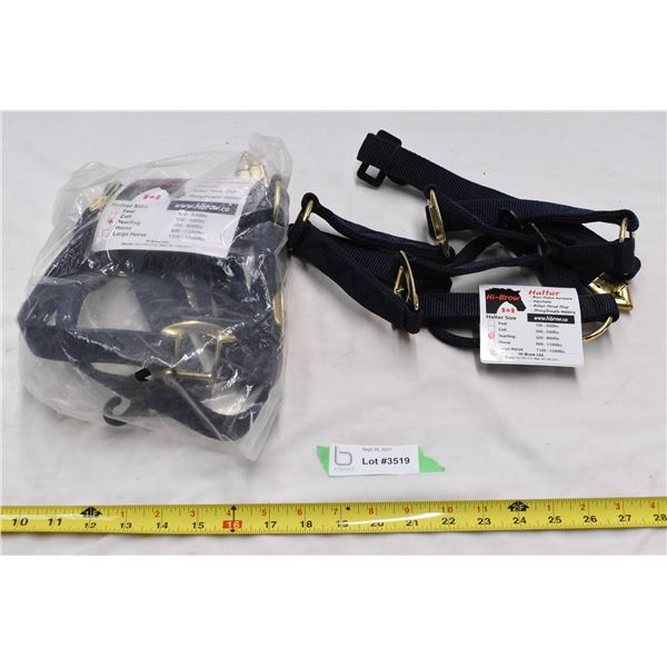 2 Yearling sized halters