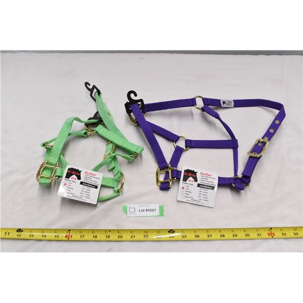 2 Colt sized halters