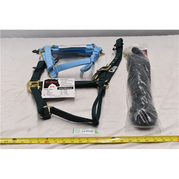 1 Large horse, 1 Horse sized halters. 1 Lead