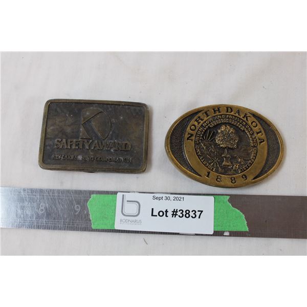 Pair of belt buckles