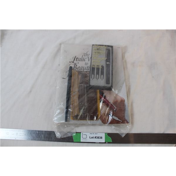 Teach yourself calligraphy set