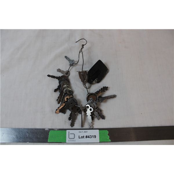 Ring of vintage keys