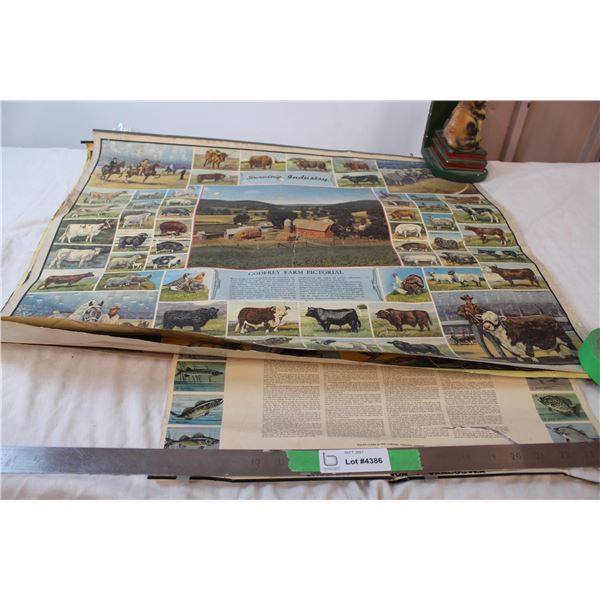 Vintage wildlife pin up posters