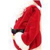 Image 3 : 25” tall plastic santa