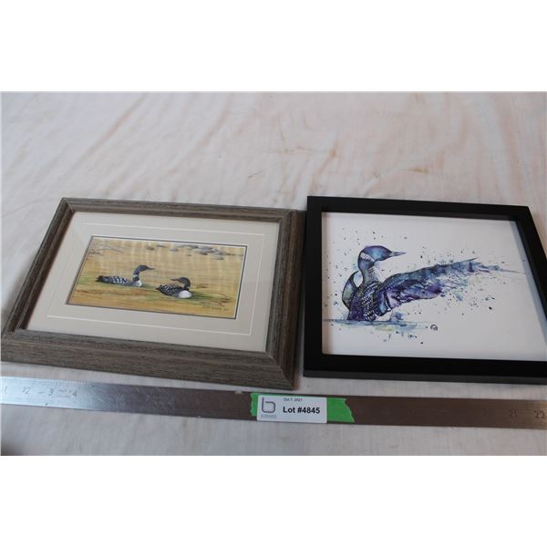 Framed Loon paintings, Lisa Whitehouse, Carmen Heinrichs