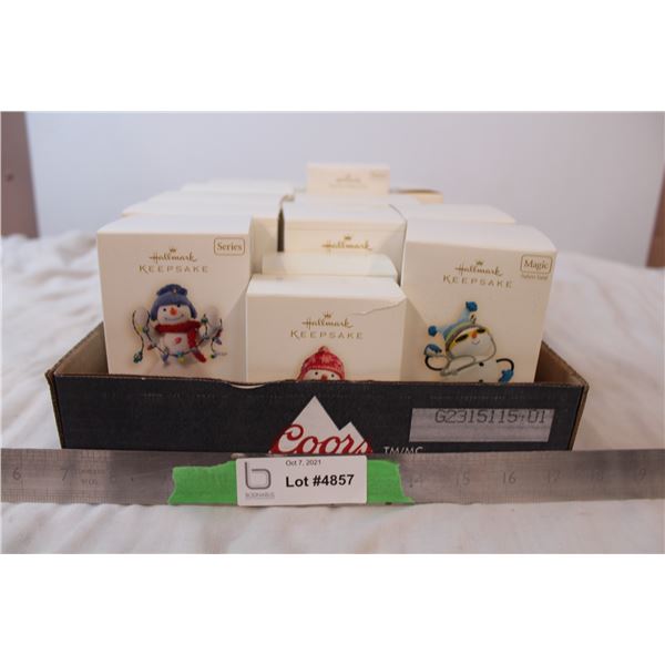 Hallmark keepsake ornament