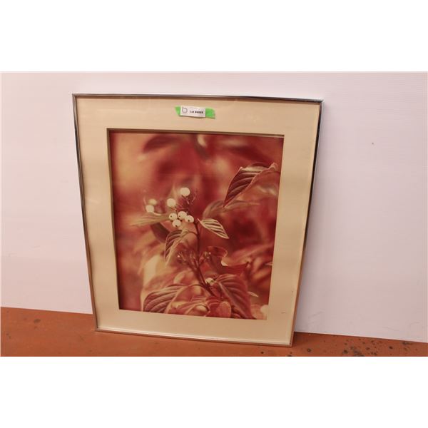Framed berry photograph 26.25X30.5”