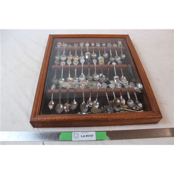 Canadian spoons in wall display case
