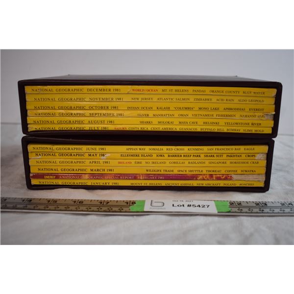 1981 Annual Set of National Geographic Magazines