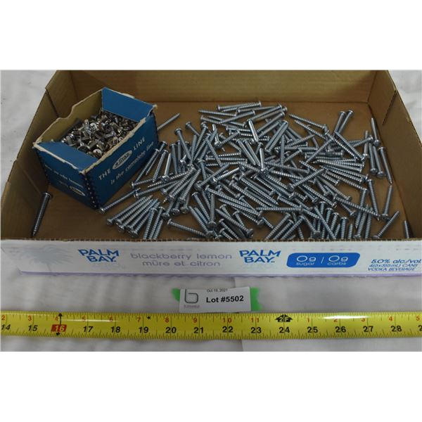 Holding Screws & 2” #8 Screws