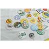 Image 2 : Misc. Pin Buttons