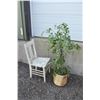 Image 1 : Fake Plant and Chair