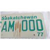 Image 2 : 1977 Sask Sample License Plate
