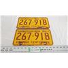 Image 1 : Pair of 1967 Sask License Plates
