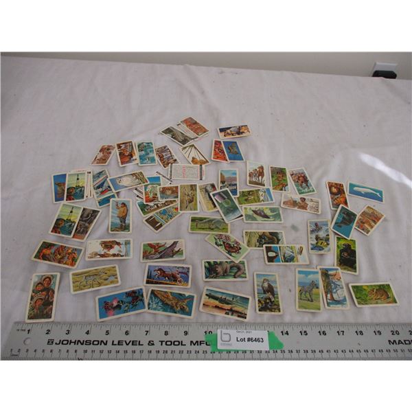 Red rose tea collector cards