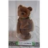 Image 1 : "Teddy" Beanie Baby in Collectors Case