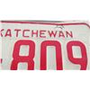 Image 4 : 1973 - pair of Sask License Plates